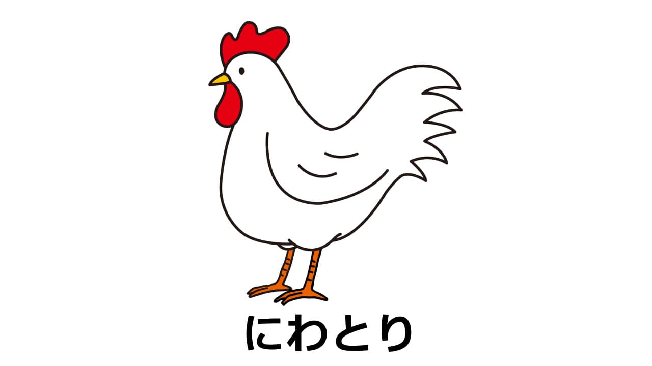 ニワトリのイラスト（アイキャッチ）
