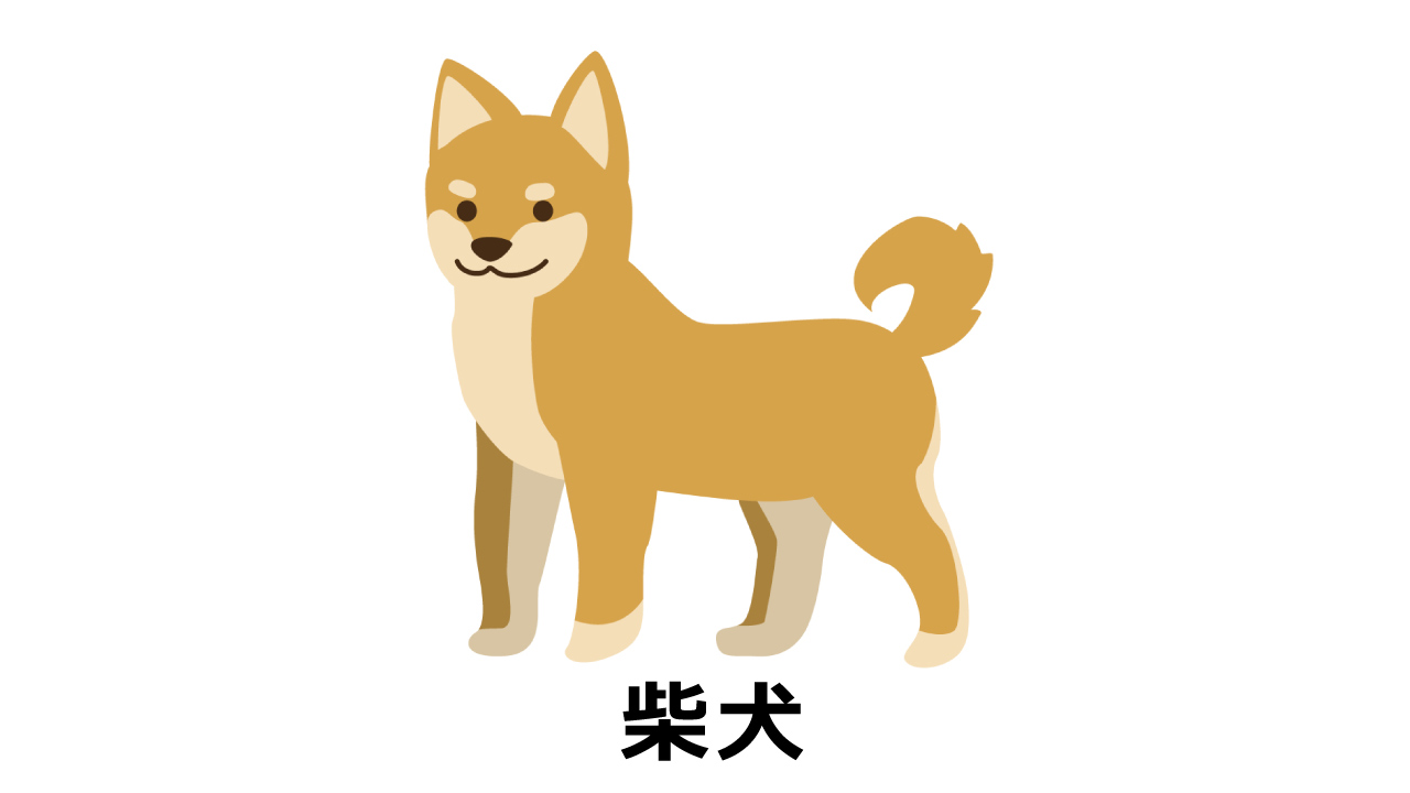 柴犬のイラスト（アイキャッチ）