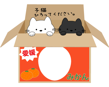 捨て猫が入ったみかんの段ボール箱の被り物（面長顔用・サムネイル）