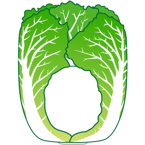 白菜の被り物(鮮やかな緑色・サムネ)