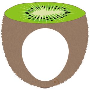 半分に切られたキウイの被り物（面長顔用・サムネ）