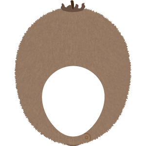 キウイの被り物（面長顔用・サムネ）