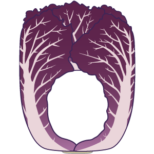 鮮やかな紫白菜の被り物(サムネ)