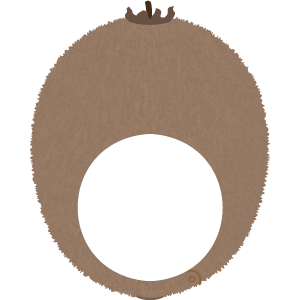 キウイの被り物（丸顔用・サムネ）