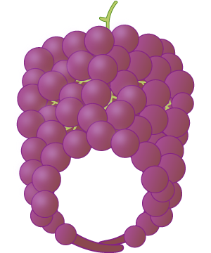 デラウェアの被り物（丸顔用・サムネイル）