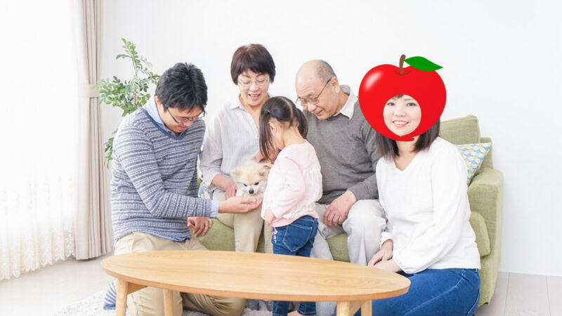 被り物イラストのご利用方法